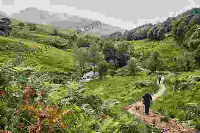 A Hiker Walking Through Glen Falloch On The West Highland Way The West Highland Way: Milngavie To Fort William Scottish Long Distance Route (UK Long Distance Trails 0)