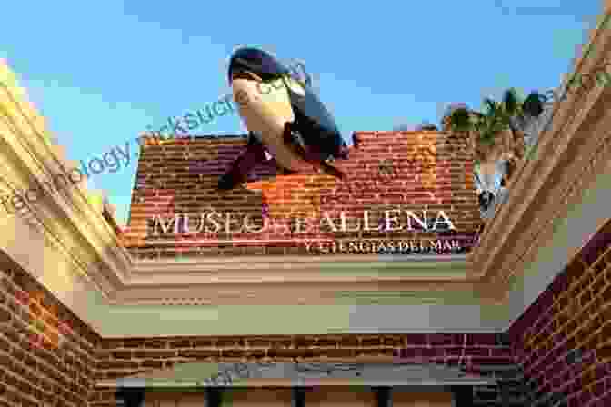 The Museo De La Ballena In La Paz, Showcasing Exhibits On Whales And Marine Life Moon Los Cabos: With La Paz Todos Santos (Travel Guide)