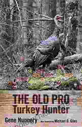 The Old Pro Turkey Hunter